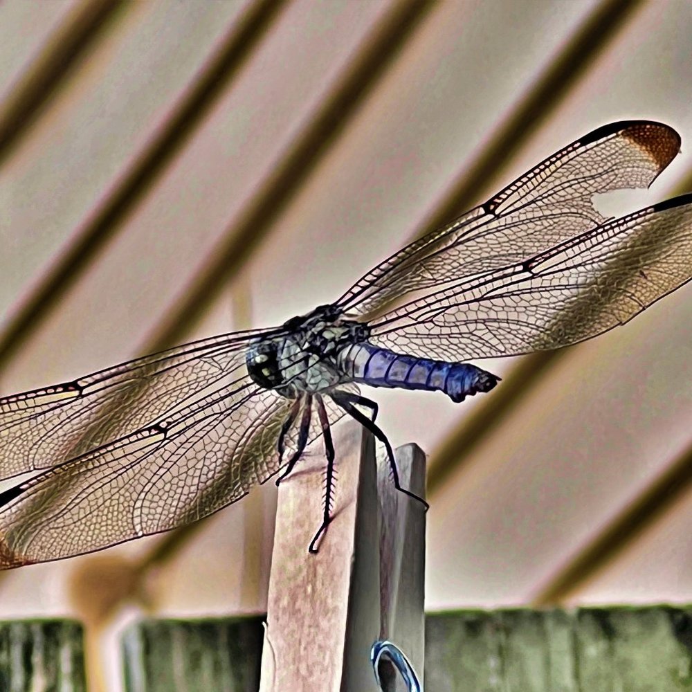 Reserved for teenagebeautyy